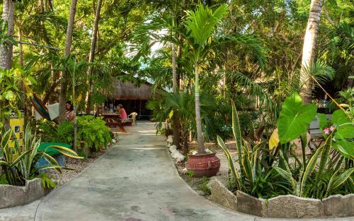 Hostel Oryx Tulum - image 2