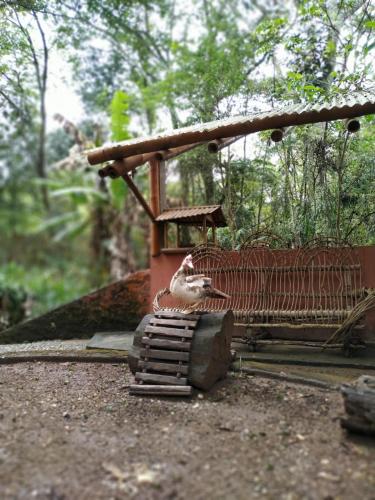 สวน, Pousada Recanto dos Anjos in ปราโดส