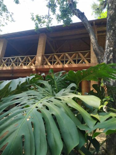 สวน, Pousada Recanto dos Anjos in ปราโดส