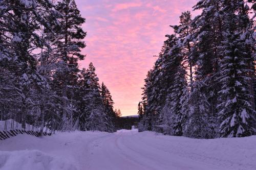 Horrmundsgården i Sälen - image 13