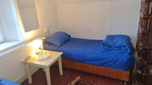 Camping Aviator Busteni, camere in Poiana Tapului