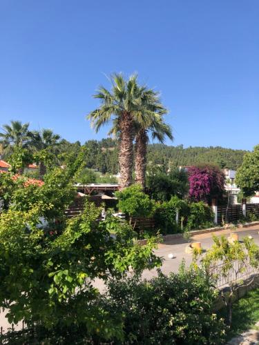  Halkidiki Greek Pride Evlogia Seaside in Skála Foúrkas