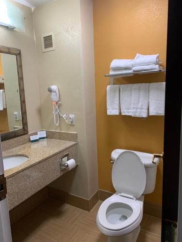 Quality Inn & Suites Quantico