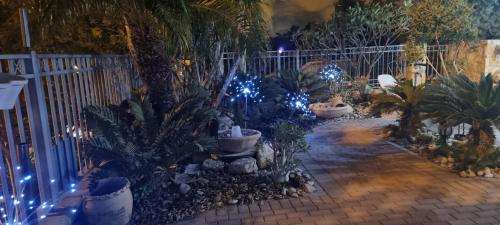 ויקטוריה - סוויטת הגן