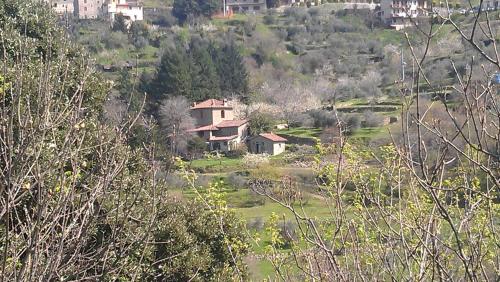  Agriturismo Luce, Tosi bei Borselli