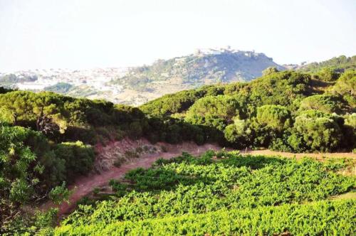 Fabulosa Quinta do Vento