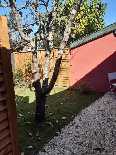 Un jardin en ville - Location saisonnière - Talence