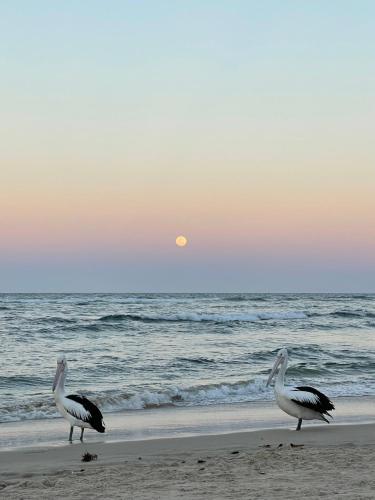 Wintersview 9 - Lennox Head