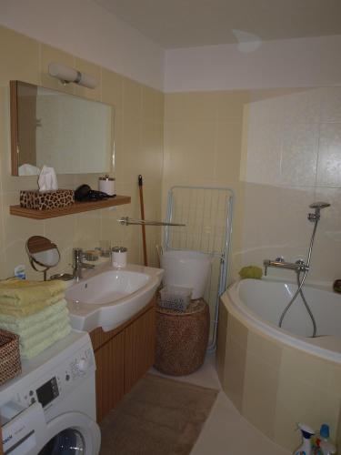 Apartmán Drahovice - image 3