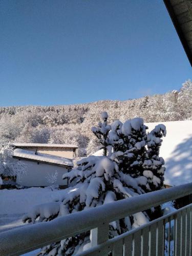 Ferienwohnung Pietzavka in 韋森費爾登