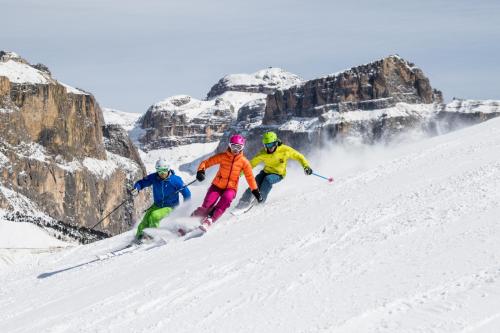 Hotel Ladinia Dolomites View - image 6