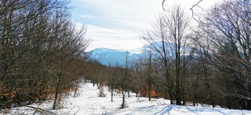 GranChalet sul Cimone I love Montecreto 103