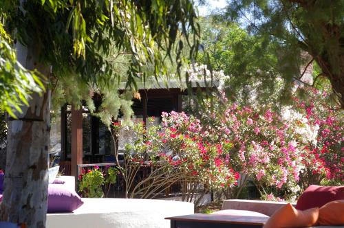 Arriba Pension & Restaurant