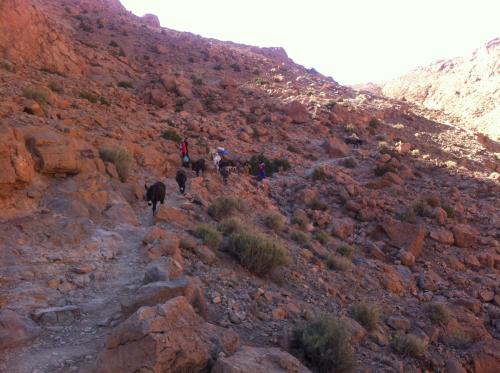 棕榈树宾馆 棕榈树宾馆