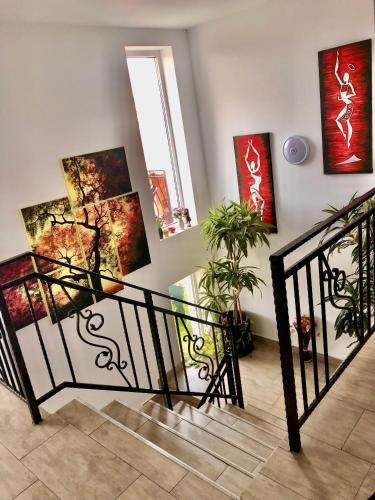 Pensiunea Casa Albă - image 11