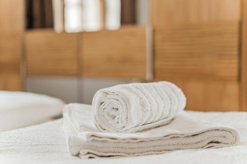 Dachstein West Apartments - Russbach am Pass Gschütt