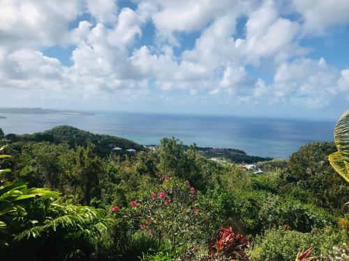 Bel appartement prive, magnifique vue sur la mer des Caraibes et jardin clos, WiFi, a 1km de la plag