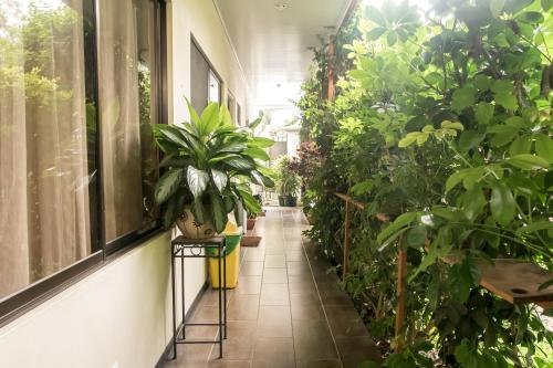 Balcony/terrace, Terida Airport B&B in Alajuela