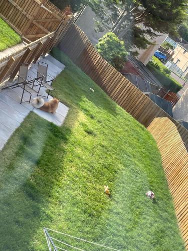 2 bedroom stylish house