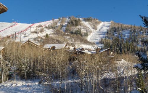 Bear Claw 515 - image 5
