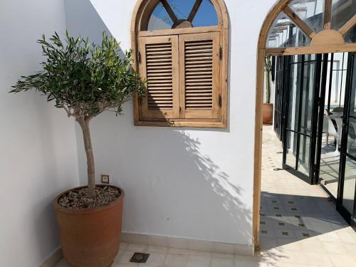 Dar Gecko, Sidi Kaouki (Foto 6)