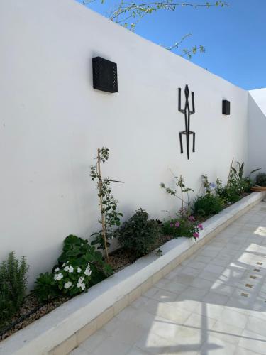 Dar Gecko, Sidi Kaouki (Foto 7)