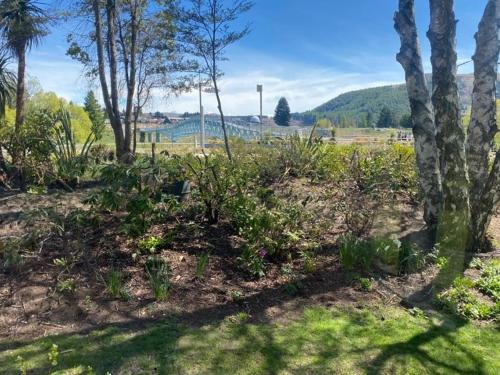 Garden Cottage - Lake Tekapo photo