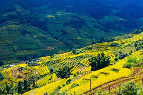 Mu Cang Chai Big view homestay