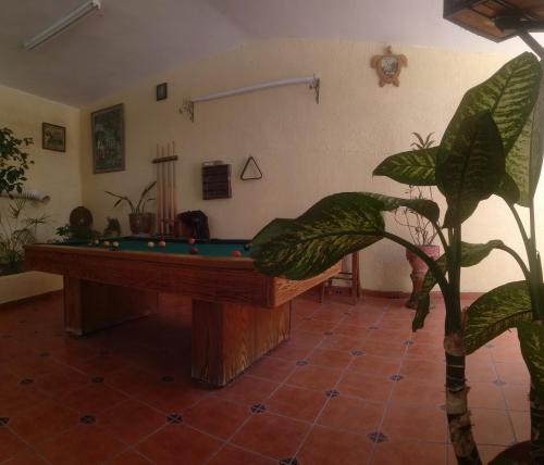 Room in Guest room - Padrinos Hostal La Paz Full House