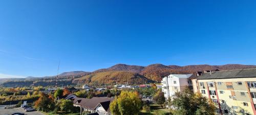 Casa Suzana - Apartment - Piatra Neamţ