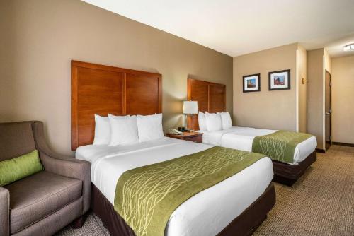 Comfort Inn & Suites Sacramento