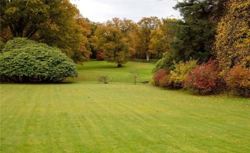 Park of Drumquhassle, Glasgow (fotografie 8)
