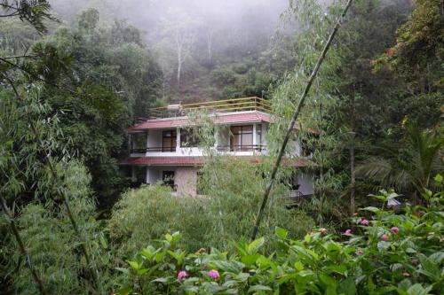 Spring and Valley View Thekkady