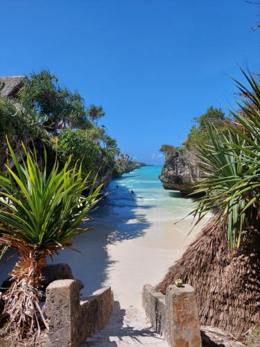 Mtende Beach Bungalow océan view