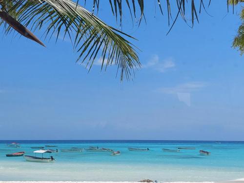 Mtende Beach Bungalow océan view