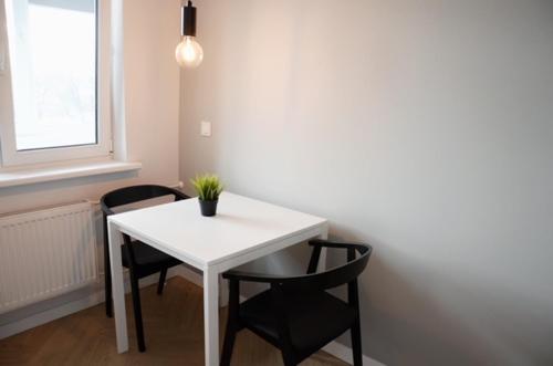 Vytautas Park Apartment with FREE Parking in Marijampole