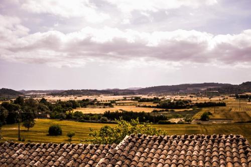 Finca Rural Son Rabassa