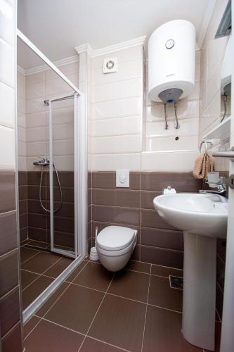 Apartment Sofija - image 9