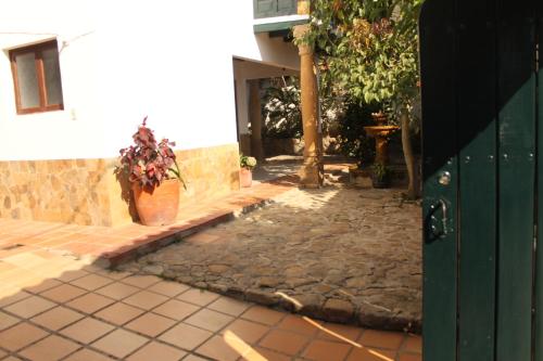 Three-Bedroom House image 10