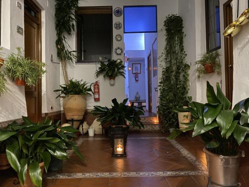 Pension San Pancracio chambre d'hôte Jardines de Murillo