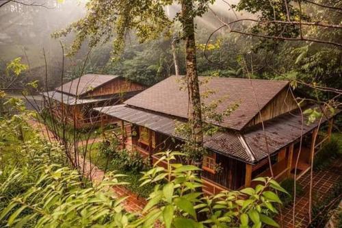 10 Amazing Semuc Champey Hostels - Where to stay?