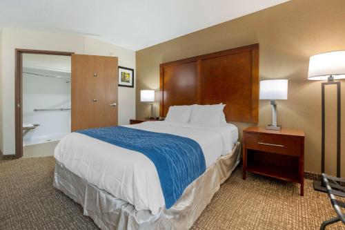 Comfort Inn Anderson South - image 8