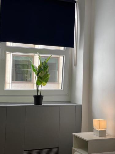 MiniEstudios Plaza de España, Madrid