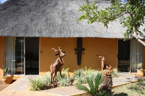 Jardim, Normann Safari Bush Lodge in Parque Nacional Kruger