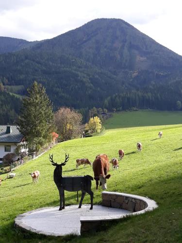 Chalet Weiberle Hochschwab in Etmissl, Österreich