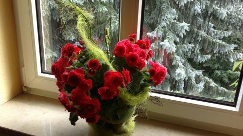 Hotel Vinum - image 11