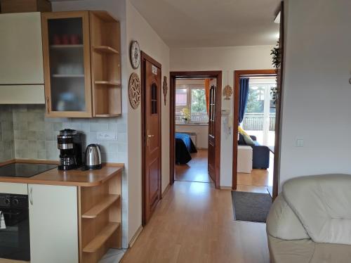Apartamentylove - Apartament Oliwia, Zakopane (fotografie 9)