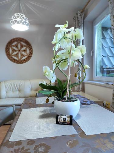 Apartamentylove - Apartament Oliwia, Zakopane (fotografie 5)