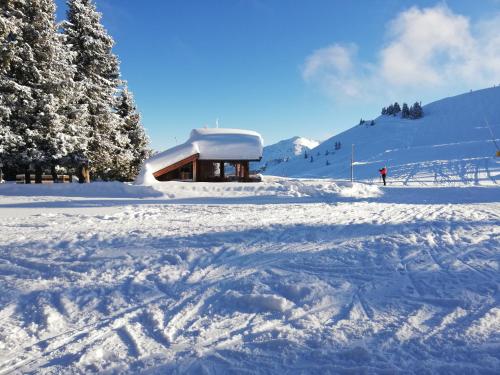 Holzfällerhaus Melkstatt