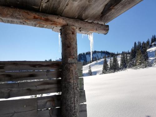 Holzfällerhaus Melkstatt